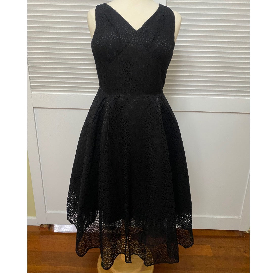 Laurina lace shop skater dress